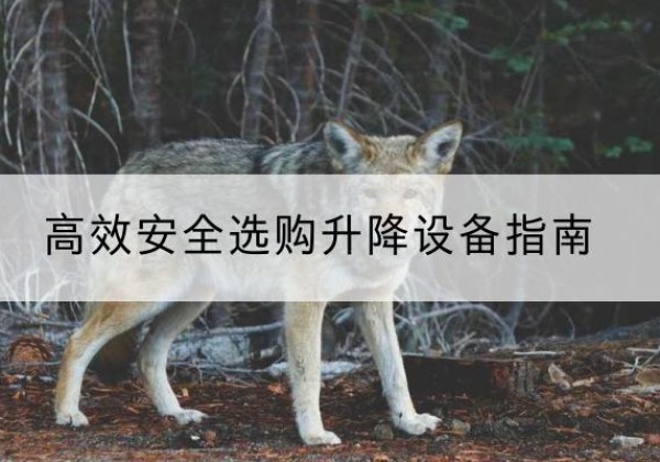 泊头升降货梯厂家推荐-*安全选购升降设备指南