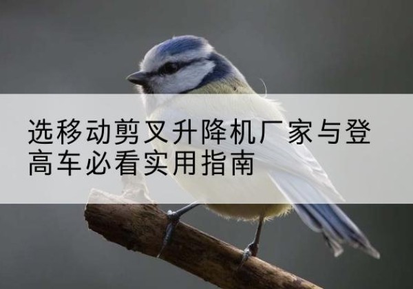 泊头电动升降机厂家-选移动剪叉升降机厂家与登高车必看实用指南