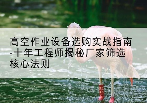 泊头剪叉式升降机厂家-高空作业设备选购实战指南-十年工程师揭秘厂家筛选核心法则